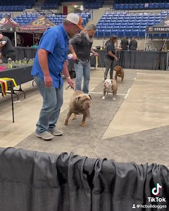 4.8K views · 127 reactions | Hat Creek Bulldogges on Reels | Facebook