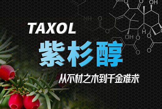 【癌症简史14】从一文不值到千金难求，最成功的植物化疗药