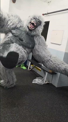 crazy gorrilla hora loca 🎶🎵