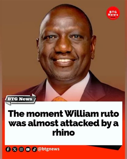 BTG News™ on Instagram: "the moment #ruto was almost attacked by a rhino"