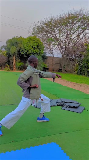 This is where every good KARATEKA starts. Basics