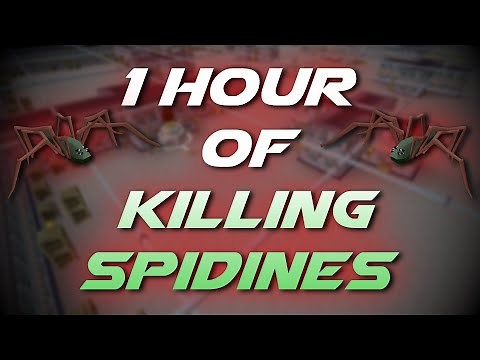 Slaying Spidines | Testing OSRS Wiki Money Making Methods