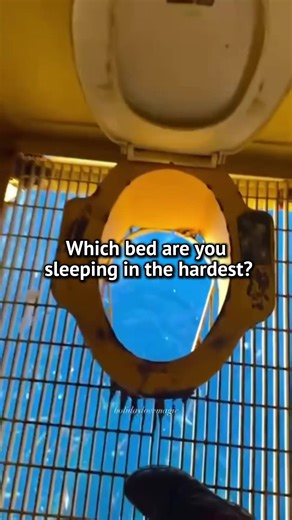 #lockdown #nostalgia #architecture #interiordesign #dreamhome | Nostalgia