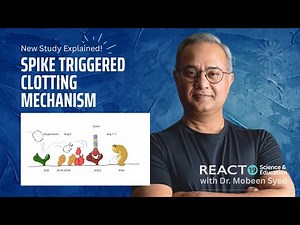 Spikeopathies – How Spike Protein Causes Clotting