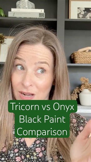 Tricorn Black vs Onyx Black Paint Color Comparison