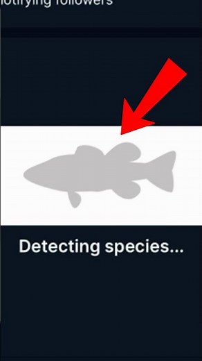 Use THIS to Identify Any Fish You Catch 🎣 #fishing