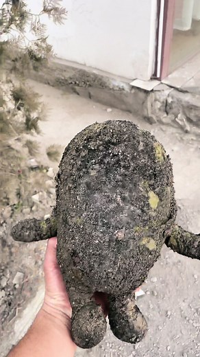 Dirty Minion #satisfying #asmr #carpetcleaning #oddlysatisfying #soclean #top