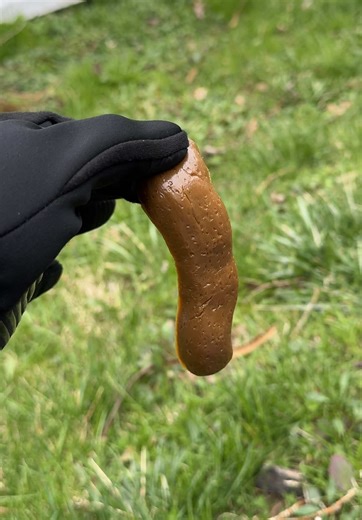 🍃 Push lawn sweeper for leaves, grass clippings, and yard debris — 21-inch wide manual lawn sweeper for fast yard cleanup and outdoor maintenance 🍂 Make yard work more efficient with this push lawn sweeper designed to collect leaves, grass clippings, and small debris as you move across your lawn. The rotating brush system lifts debris from the surface and transfers it into the rear collection hopper, helping keep your yard clean without the need for gas or electric equipment. The wide 21-inch 