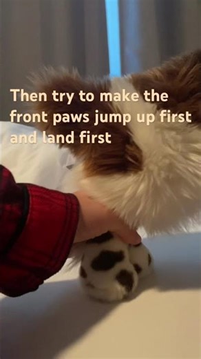 Movement tutorial with Opal!! #essa #tutorial #fyp