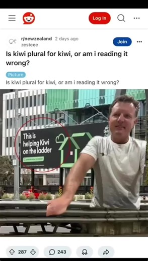Understanding Kiwi vs Kiwis in New Zealand