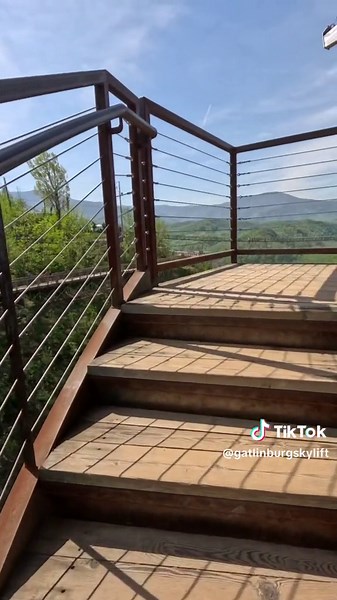 Did you know the Tulip Tower was designed with the Tulip Poplar Tree in mind? This is the state tree of Tennessee! #skyliftingatlinburg #skybridgegatlinburg #visitgatlinburg #foryou #fyp