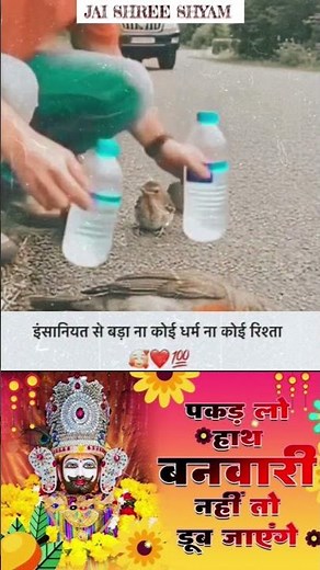 देखो कैसे बेजुबान ओर उसके बच्चों की जान बचाई 🫶😱 salute hai bhai aapko 🙌#shyam#love #shreekhatushyam