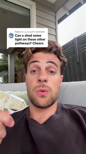 Understanding Corporate Law: Key Insights for Lawyers