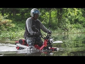 Honda CT125 Hunter Trail Cub Review - 2024 Thailand adventure tour