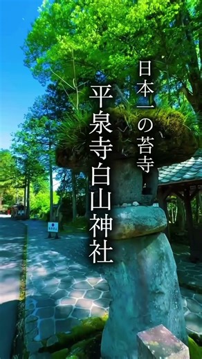 Must-visit power spots in 2026 #shrines #recommended #temples #power spots #prayer #wishes #heali...