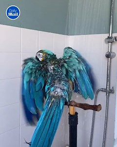 He's in his own little world 🥺 | Daily Mail Did That Just Happen?