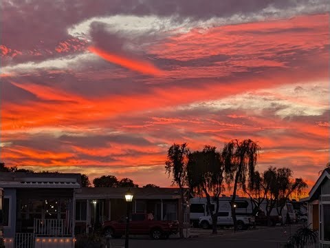 Je te donne toute ma louange