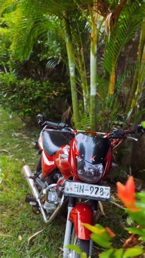 මම කෙරු මගෙ තනි ප්‍රේමේ 🥺💐 #rider #1k #ct_100 #automobile