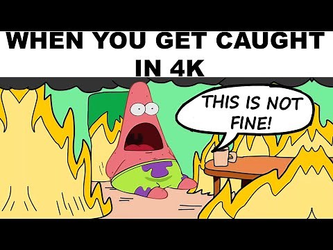 MEMES IN 4K
