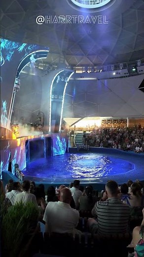 Preview! Shockwave AquaTheater show on Legend of the Seas