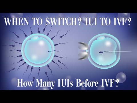 IUI vs IVF: When Is It Time to Switch?