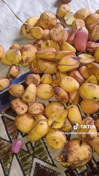 Explore the Beauty of Yellow and Red Passion Fruits