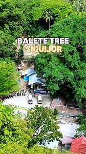 15K views · 181 reactions | Sikat nga Balete Tree sa Siquijor | Kalaagan JG | Facebook