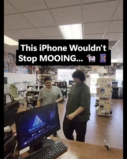 The iPhone 'moo virus' - it's real but not actually a virus. If you get a link to a 'high school fights' video, do not click it.It installs a 'shortcuts' script that will seriously screw up your phone and automatically restarts itself and loops, playing this annoying moo noise and changing all your settings.