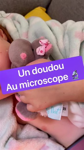 Découvrez un monde caché : l'observation d'un doudou au microscope