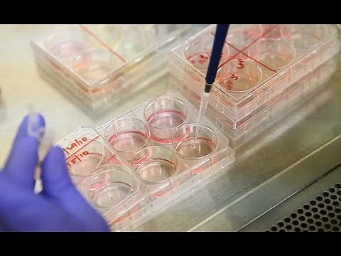 Derrick Rossi: Modified RNAs advance stem cell field