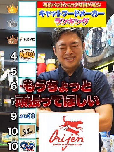 キャットフードメーカーランキングとおすすめ
