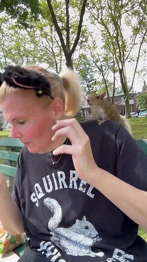 #Cute #wholesome #chipmunks #Shorts #Cheeks #Funny #furry #Squishy #Nature #Squirel | judecox