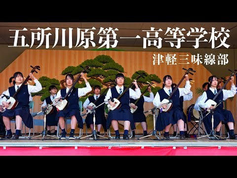 『五所川原第一高等学校 三味線部ステージイベント』🌸弘前さくらまつり🌸