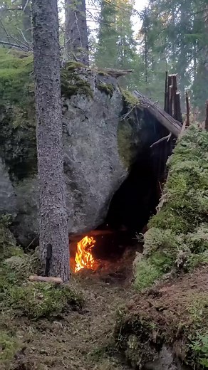 581K views · 5.8K reactions | My survival camp. #bushcraft #camp #nature #forest #camping #wildlife #outdoor #survival #caveman #primitive #primitiveskills #knowledge #primitive_technology #wildernessskills #outdoors #outdoorlife #campinglife #lifehacks #reelsusa #fyp #foryou | Bushcraft Life | Facebook