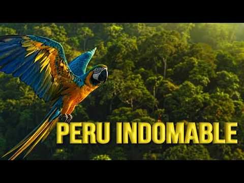 10 Wild Animals of Peru That Dominate the Andes and the Amazon