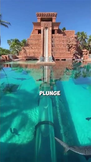 The Most Insane Waterslides Ever Built #youtubeshortsvideo#facts #waterslide #trendingshorts #fypシ