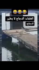 😲Amazing | Alex Cattery House