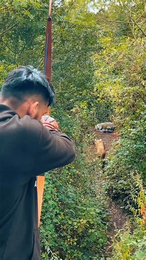 56K views · 107 reactions | Top down shot, 2 targets 2 arrows, tracked the path❤️ #archery #aiming #bow #arrow #target #far #hit #tutorial #experience #forest #uk #woods #sunny #awesome #fun #archer #ottoman #turkishstyle #turkisharchery #bowandarrow #archerylifestyle #foryourpage #fyp #precision #patience #endurancesports | Takal Brothers | Facebook