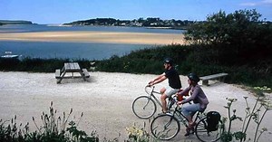 Pubs and cafés to stop at for a pint along Cornwall's Camel Trail
