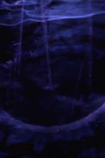 Industrial 16 (2021) - Movie