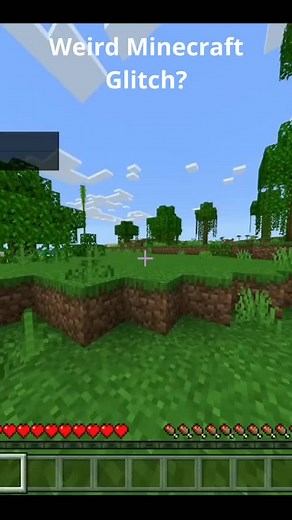 What gliches have you found? #gaming #minecraft #gamer #funny #glich #minecraftglitch
