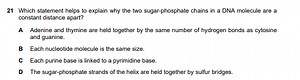 21 Which statement helps to explain why the two sugar-phosphate... | Filo
