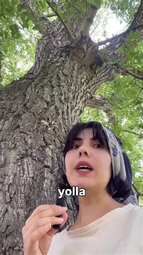 Ceviz Ağacı I Seri 1/3