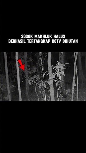 hantu tertangkap cctv dihutan #horror