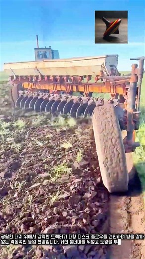 디스크 플로우를 활용한 트랙터 토양 반전 및 경운 작업 #worker #process #soil #farming #cultivation