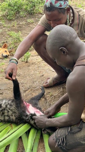 Chaba the Instructor 😂🔥 Teaching How to Skin a Civet Like a Pro! #hadzabetribe #africanculture