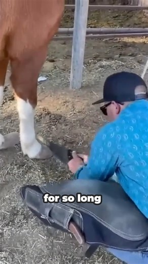 122K views · 2.8K reactions | Neglected Pony's First Steps to Recovery #pony #neglected #farmlife #reelsvideoシ #reelsfypシ | The Farm on Route 66 | Facebook