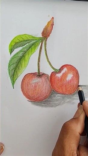 draw cherry🍒with colors🎨 pencil by ssyana paints #love #tutorial #drawing #drawingtutorial