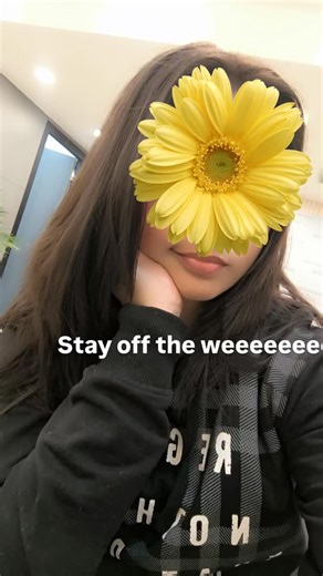 Nitya Chaurasia | Solo Explorer🍀 | Weeeeeeeeeeeeeeeeeeee . . #fyp #explorepage #transformation #explore #stayofftheweed | Instagram