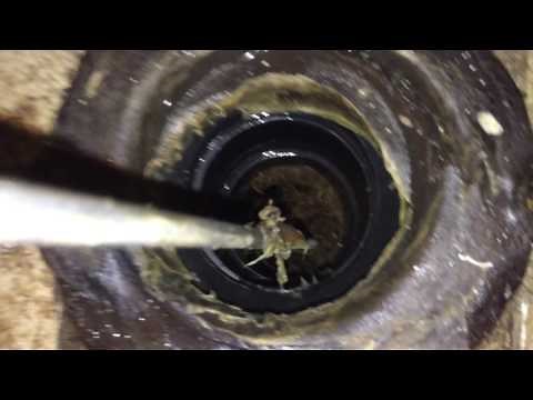 Plumbing - How to Remove Tree Roots from a Clogged Toilet Drain Pipe